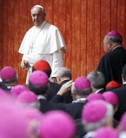 El Papa alerta sobre la tentacin de ideologizar el Evangelio