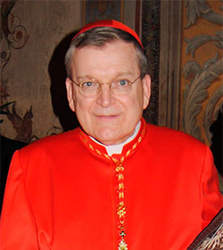 Cardenal Burke: Hay muchas dificultades con el texto del cardenal Kasper