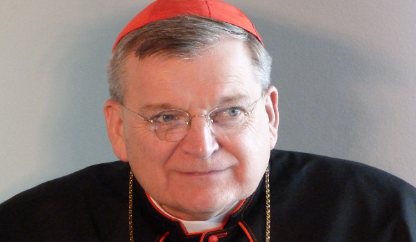 El cardenal Burke pide calma a los fieles ante las posturas heterodoxas de algunos padres sinodales