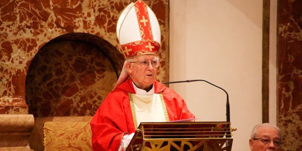 El cardenal Caizares denuncia la alianza contra la familia del imperio gay, el feminismo y la clase poltica 