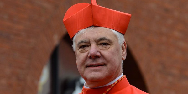 Cardenal Mller: La misericordia no se detiene en el gesto del perdn sino que ayuda a la renovacin de toda la vida