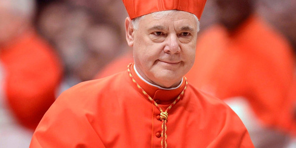 El Cardenal Mller recuerda que la Iglesia ha dicho siempre esto es verdadero, esto es falso