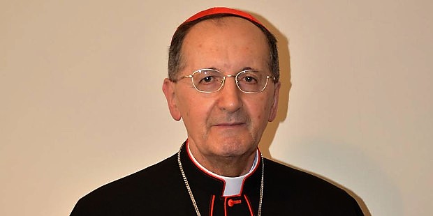El cardenal Stella est dispuesto a reunirse con los obispos alemanes para explicarles el documento sobre las parroquias