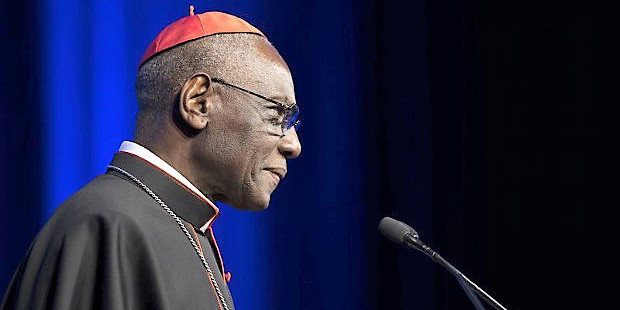 Cardenal Sarah: Debemos proteger a la familia de los ataques de Satans 