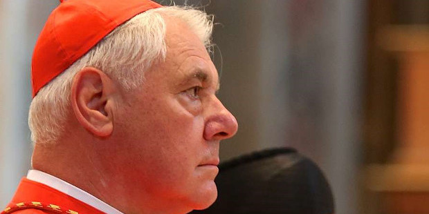 El cardenal Mller critica a los obispos que interpretan Amoris Laetitia en contra de la doctrina catlica