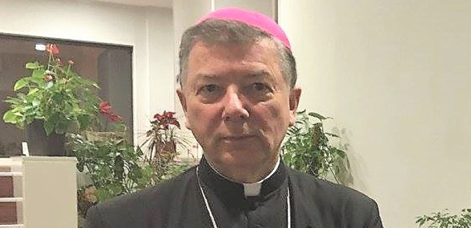 Mons. Martnez Camino: La persecucin es el estado natural de la Iglesia