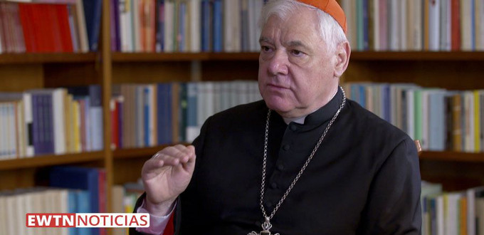 Cardenal Mller: solo puede haber unanimidad partiendo de la fidelidad a la doctrina catlica