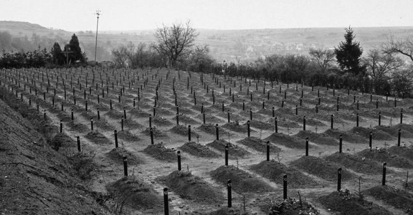 El engao con el que los mdicos nazis escondieron el exterminio de miles de bebs disminuidos