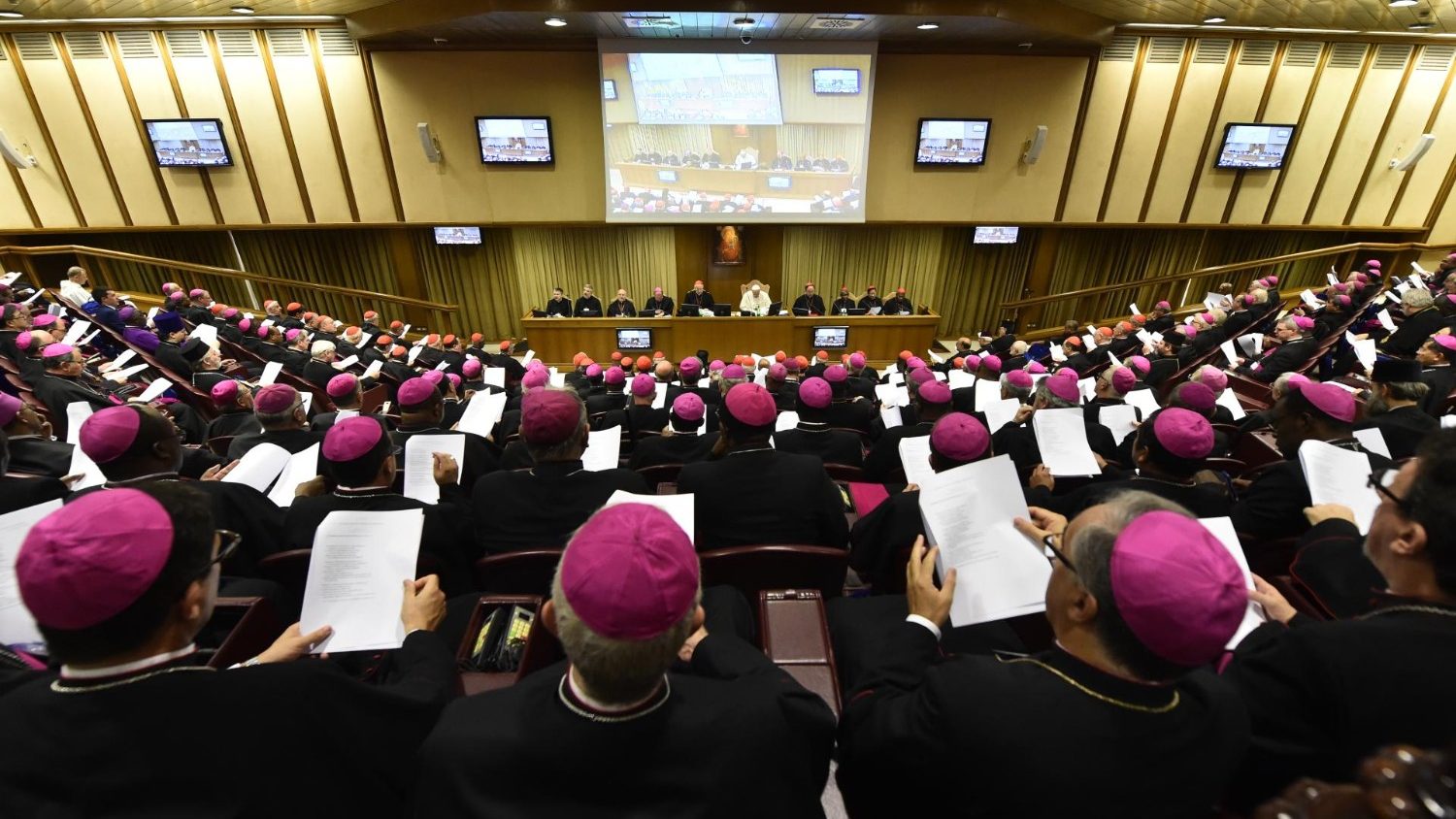 El Papa recibe y publica el Documento Final del Snodo sobre los Jvenes