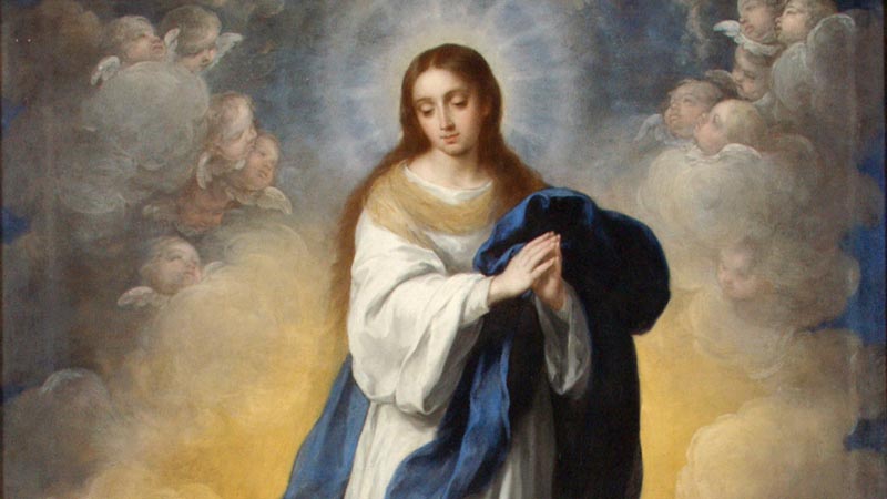 Solemnidad de la Inmaculada Concepcin de Mara: Donde abund el pecado sobreabund la gracia