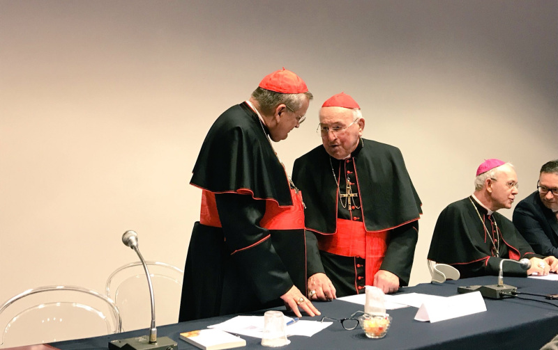 Cardenales Burke y Brandmller piden a los obispos de la Cumbre sobre los abusos defender las enseanzas de la Iglesia y no permanecer en silencio