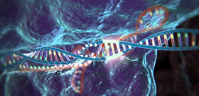 La herramienta de edicin gentica CRISPR abre posibilidades de aplicacin en mltiples reas