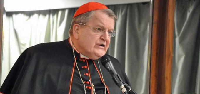 Cardenal Burke: Se ha producido un colapso de la autoridad magisterial central del Romano Pontfice