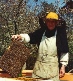 El monje benedictino que cambi para siempre la apicultura occidental