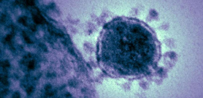 Obispos de Filipinas piden a la poblacin actuar con cautela ante el avance del coronavirus