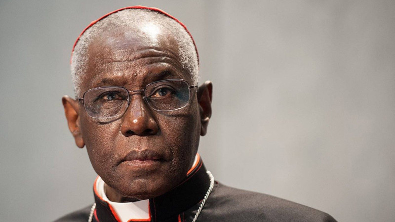 Cardenal Sarah: la Iglesia «debe dejar de pensar en s misma como algo suplementario al humanismo o a la ecologa»