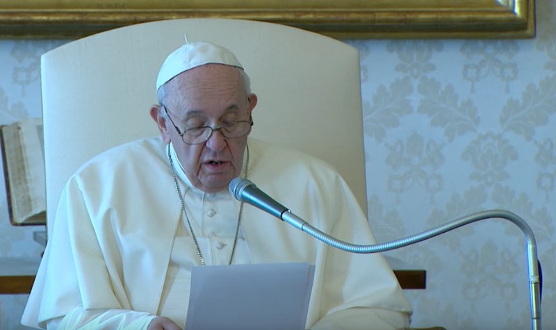 El Papa Francisco condena la ideologa de gnero y el aborto en Hungra