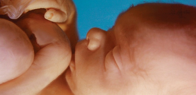 Casi 1.500 mujeres en Irlanda que buscaron el aborto cambiaron de opinin y tuvieron sus bebs