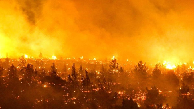 Critas Chile organiza una campaa para apoyar a las vctimas de la ola de incendios en el sur del pas