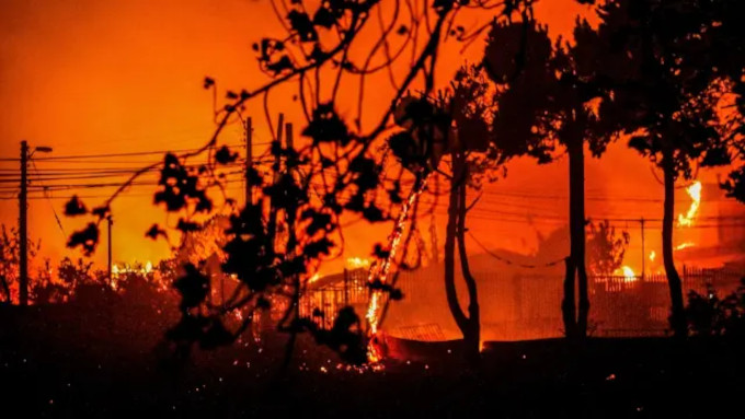 El Papa pide rezar por las vctimas del devastador incendio en Chile