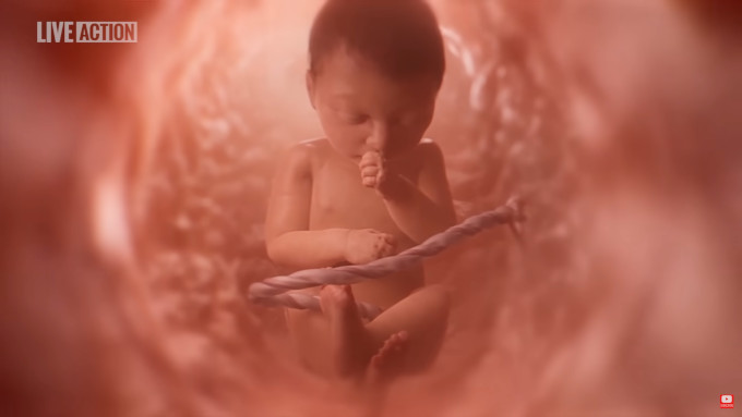 Tennessee podra obligar a mostrar a los alumnos un vdeo con el desarrollo de un feto durante el embarazo