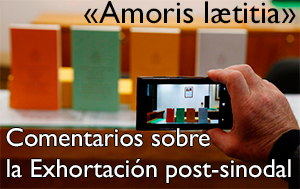 Comentarios a la Exortaci�n Amoris laetitia