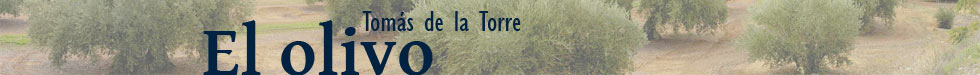 Toms de la Torre