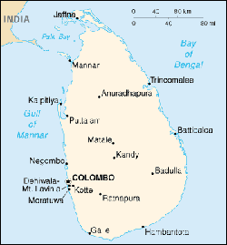 Sri Lanka: Hostias consagradas salen indemnes de un ataque a un santuario