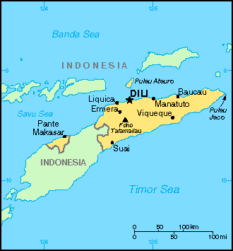 Timor Oriental resiste las presiones de la ONU y mantiene el aborto como delito