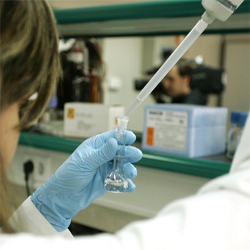 California abandona la investigación con células embrionarias ante la falta de resultados