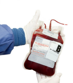 Muere una mujer Testigo de Jehov en Sevilla por negarse a recibir una transfusin de sangre
