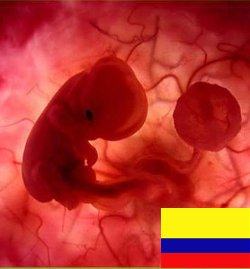 Pro-vida colombianos llaman a boicotear la construccin de una clnica abortista con fondos pblicos
