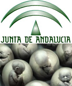 La Junta de Andaluca subvencion irregularmente con cinco millones de euros a dos clnicas abortistas