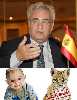 El Defensor del Pueblo advierte de que la futura Ley del Aborto puede ser ms laxa que la Ley de Proteccin Animal