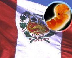 Sigue adelante por un voto la tramitación de la despenalización del aborto en Perú