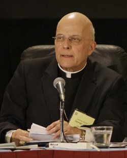 El cardenal George y 1.700 lderes religiosos piden al estado de Illinois que no apruebe el matrimonio homosexual