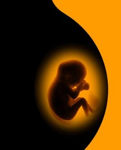 Dakota del Sur podría aprobar una ley que despenalizaría el homicidio en defensa del feto