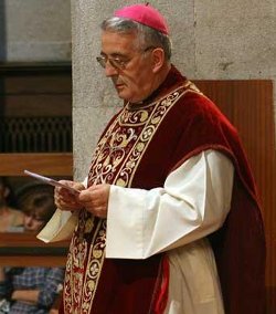 El obispo de Tui-Vigo anima a los fieles a rogar para que ms jvenes escuchen la llamada de Dios al sacerdocio