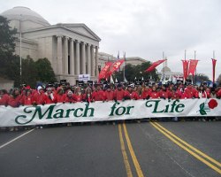 EWTN retransmite la tradicional Marcha por la Vida en Washington
