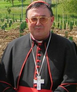 Cardenal Puljic: «Si los Balcanes han sabido ser testigos del odio, también deben serlo del