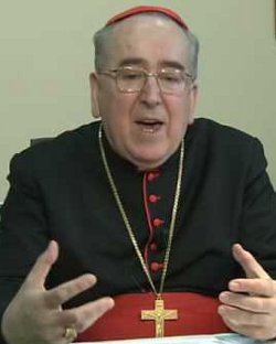 La Asamblea Plenaria del Consejo Pontificio para los Laicos debatirá sobre el testimonio cristiano en la política