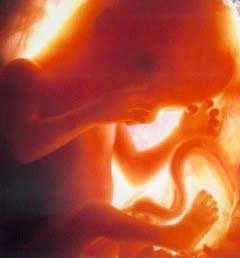 Varios expertos piden anestesiar a los fetos para que no sufran durante el aborto