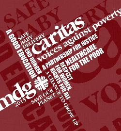 Caritas Internacional denuncia que muchos pases pobres no lograrn los Objetivos del Milenio en 2015

