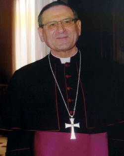 El Cardenal Amato preside la Misa de beatificacin de 23 mrtires durante de la Guerra Civil espaola