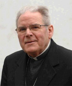 Los obispos belgas consideran inaceptables las declaraciones de Mons. Roger Vanheluwe