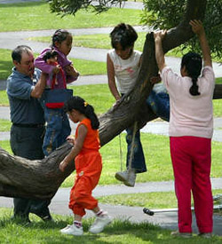 Necesitamos mejores padres de familia, que se desgasten y den la vida por su esposa y sus hijos