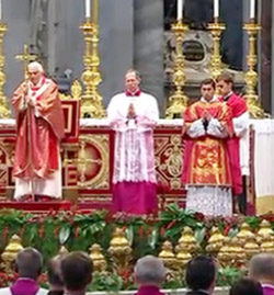 La Iglesia no nace de la habilidad del hombre y de su capacidad organizativa, sino del don del Espritu Santo

