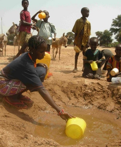 Cruz Roja confirma que 13 millones de personas corren peligro de pasar hambre en el Sahel