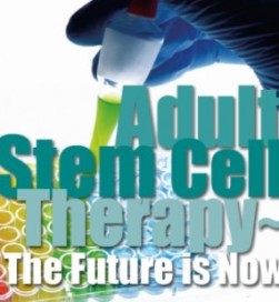Congreso en el Vaticano recuerda que «la causa» de las células madre adultas es «urgente»