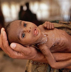 Somalia sigue padeciendo hambre a pesar de las lluvias de diciembre